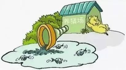 畜禽粪污处理利用的思考与建议_财经_网