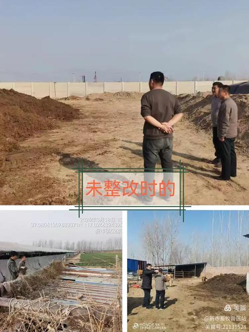 新狠抓畜禽粪污综合市镇利用,促畜牧业持续健康发展