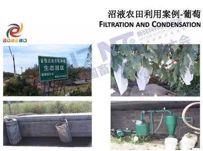 畜禽养殖粪污处理与资源化利用可行性技术分析--中国农业大学