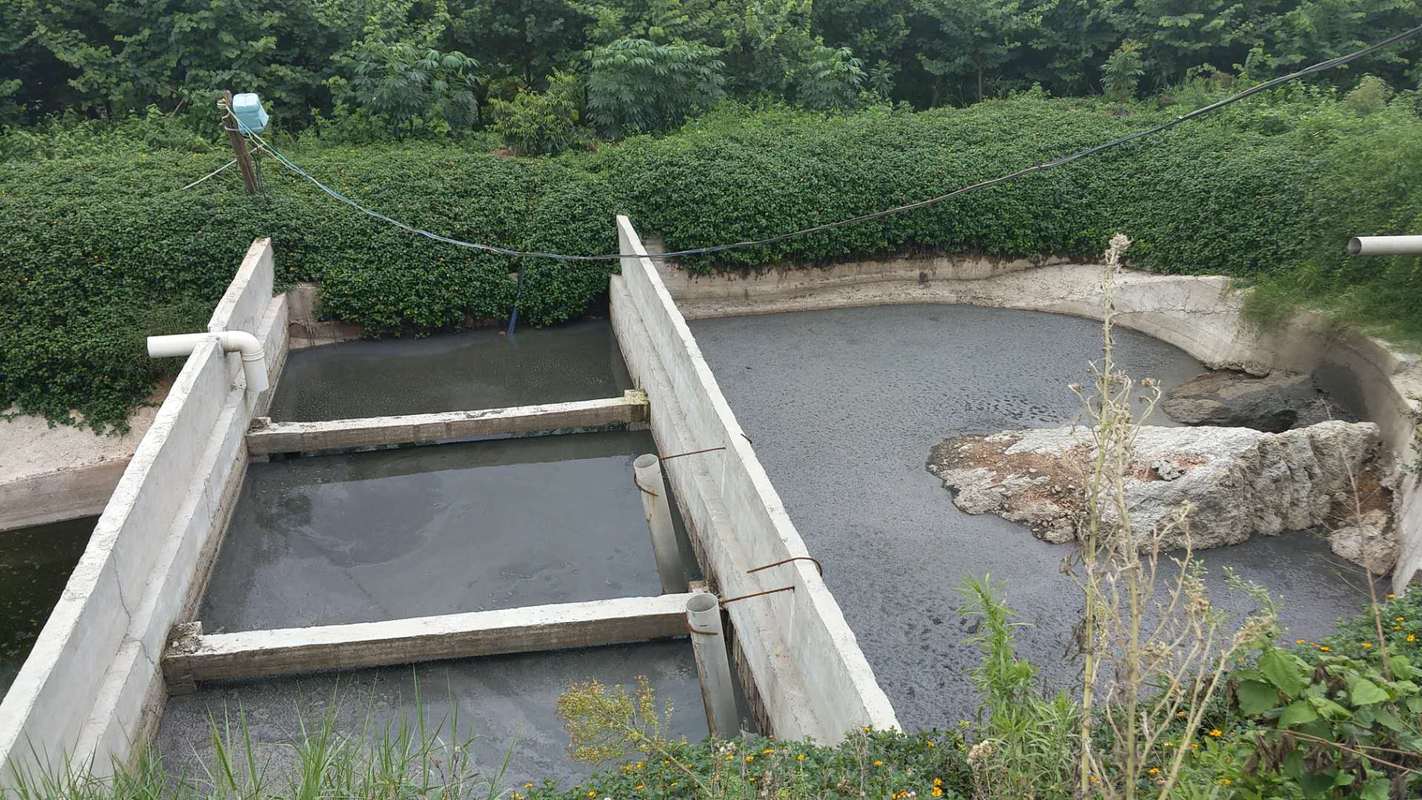 将污水处理微生物滴入沼气池或粪污池即可污水采用污水处理剂处理饮水